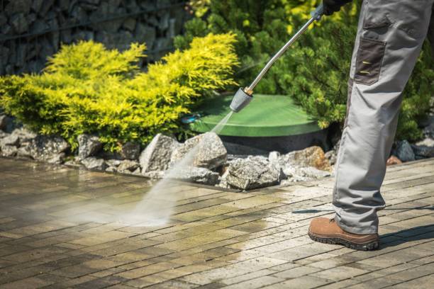 Best Solar Panel Cleaning  in Odenton, MD