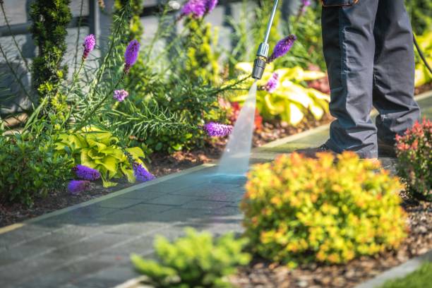 Best Boat and Dock Cleaning  in Odenton, MD