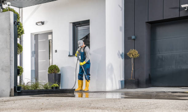Animal Enclosure Cleaning in Odenton, MD